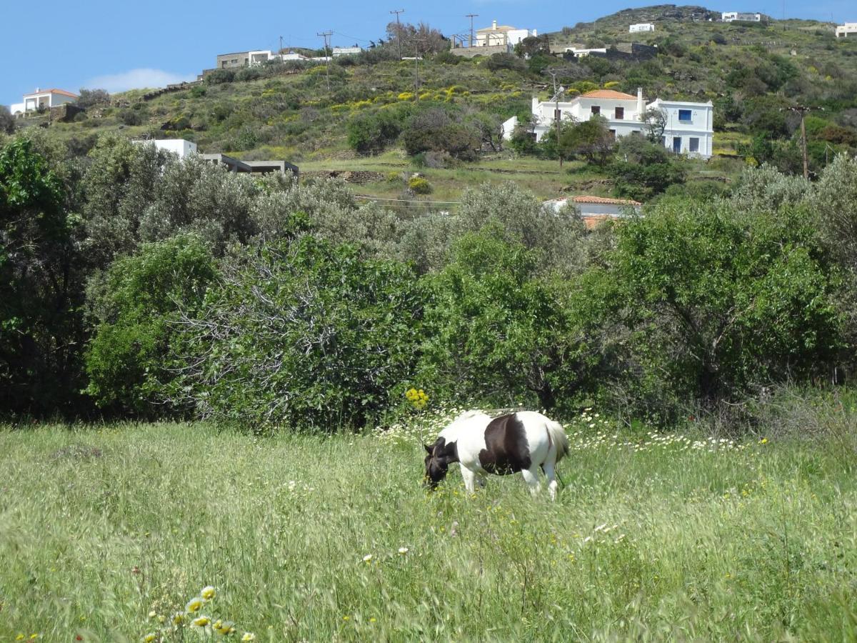 Vila House In The Grass Land. Ormos  Exteriér fotografie