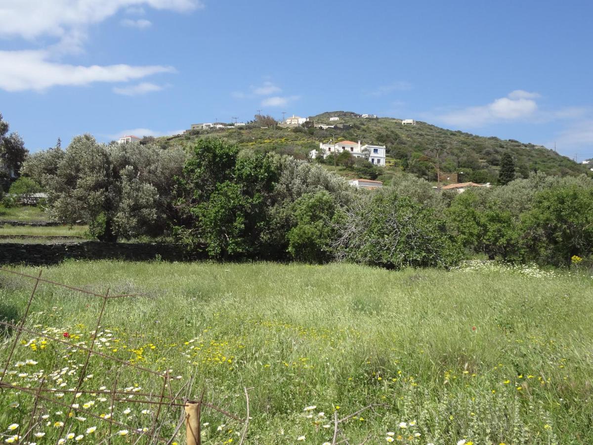 Vila House In The Grass Land. Ormos  Exteriér fotografie